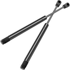 ECCPP Lift Supports Rear Trunk Lid Struts Gas Springs Shocks for Chrysler 300 2005-2008 Compatible with 6405 Strut Set of 2