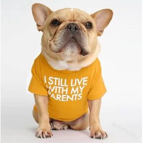 I Still Live with My Parents Printed Dog T Shirt, Funny Pet Dog Vest Clothes, Breathable Cat Shirts (Small)