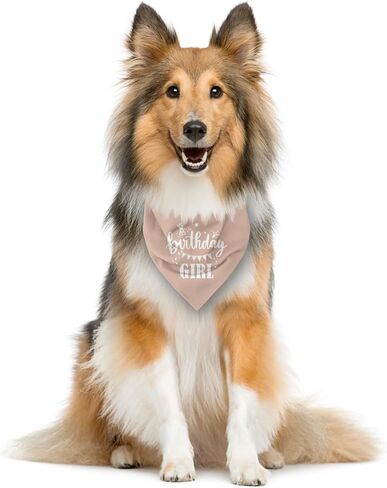 Birthday Girl Dog Bandana, Apricot Pink Dog Bandana, Funny Cute Dog Bandana, Pet Dog Triangle Scarf, Pet Dog Scarf Accessories, Gift for Dog Lover, Dog Bandana for Small Medium Large Dogs (D33) in Saudi Arabia