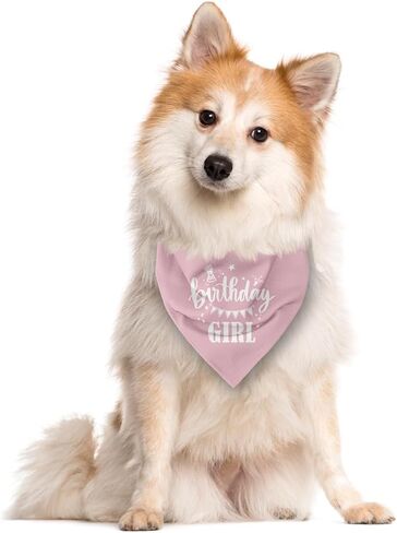 Birthday Girl Dog Bandana, Apricot Pink Dog Bandana, Funny Cute Dog Bandana, Pet Dog Triangle Scarf, Pet Dog Scarf Accessories, Gift for Dog Lover, Dog Bandana for Small Medium Large Dogs (D33) in Saudi Arabia