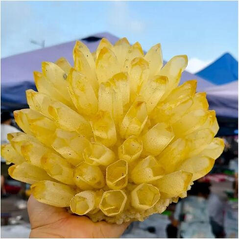 1 قطعة 5-6 كجم مجموعات الكوارتز الكريستال الأصفر المعادن الخام in Kuwait