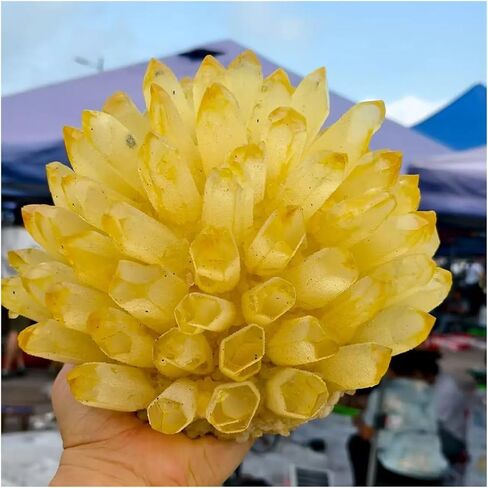 1 قطعة 5-6 كجم مجموعات الكوارتز الكريستال الأصفر المعادن الخام in Kuwait