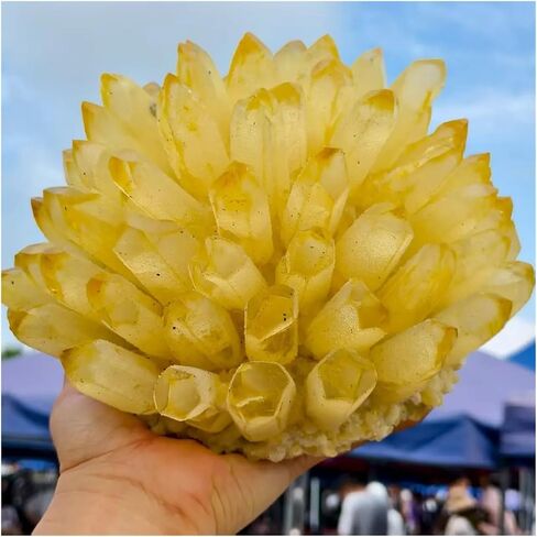 1 قطعة 5-6 كجم مجموعات الكوارتز الكريستال الأصفر المعادن الخام in Kuwait