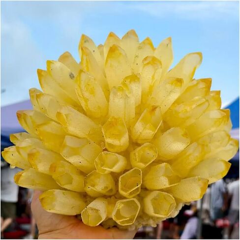 1 قطعة 5-6 كجم مجموعات الكوارتز الكريستال الأصفر المعادن الخام in Kuwait