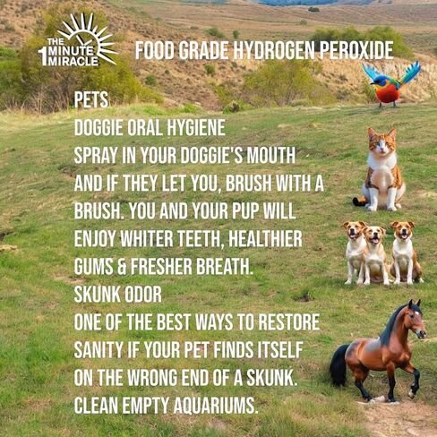 3% Food Grade Hydrogen Peroxide - Recommed by The One Minute Cure Book. in Kuwait