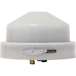 MS-SC Electronic Outdoor Light Switch for Street Sensor and Garden Light Switch Home Smart 220V Plastic in Saudi Arabia
