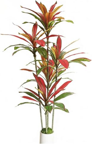 شجرة Dracaena الاصطناعية بطول 5 أقدام - شجرة وهمية لديكور المنزل، شجرة صناعية بوعاء داخلي مع صندوق راتنج واقعي وأوراق نابضة بالحياة، نبات طويل القامة منخفض الصيانة لغرفة المعيشة، نبات أرضية المكتب. in Kuwait