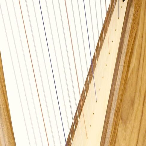 Replacement Strings Set for 22-String Harp, Nylon Non-Filament, Color-Coded Notes, Smooth Tone, Long-Lasting Durability in Saudi Arabia