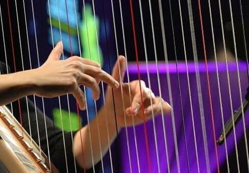Replacement Strings Set for 22-String Harp, Nylon Non-Filament, Color-Coded Notes, Smooth Tone, Long-Lasting Durability in Saudi Arabia
