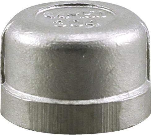 3/4" Stainless Steel Cap in Saudi Arabia