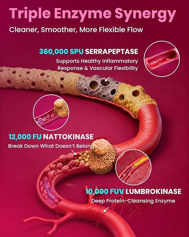 Nattokinase Supplement 12,000 FU (Max Strength) Serrapeptase 360,000 sPU, Lumbrokinase 10,000 FUV & CoQ10 -Systemic Enzymes Complex for Cardiovascular & Circulatory Health Support-100 Capsule in Kuwait