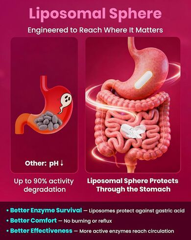 Nattokinase Supplement 12,000 FU (Max Strength) Serrapeptase 360,000 sPU, Lumbrokinase 10,000 FUV & CoQ10 -Systemic Enzymes Complex for Cardiovascular & Circulatory Health Support-100 Capsule in Kuwait