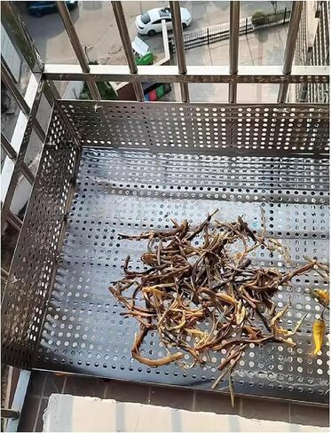 لوح مثقوب من الفولاذ المقاوم للصدأ 304، فتحات 8 مم، وسادات نافذة مقاومة للتسرب، منع السقوط الآمن، شبكة معدنية متينة، 50 × 600 سم للاستخدام المنزلي والصناعي in Kuwait