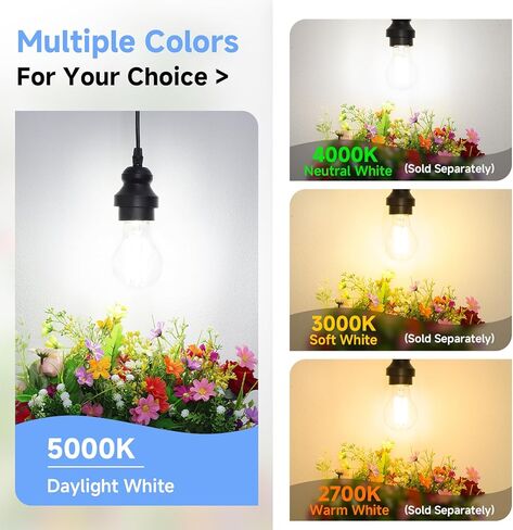 ASOMST Dimmable A19 LED Filament Bulb 60W Equivalent, 6W Vintage Edison Light Bulbs 5000K Daylight White 850 LM, Clear Glass, E26 Base, 4 Pack in Saudi Arabia