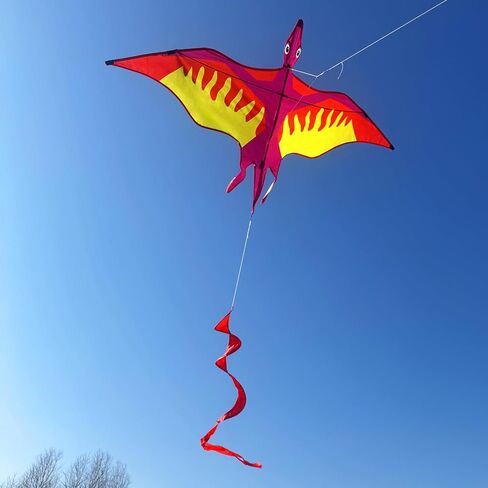 HENGDA KITE 2 حزمة من طائرات التنين الورقية للأطفال والكبار، طائرة ورقية على شكل ديناصور سهلة الطيران، طائرات ورقية على الشاطئ لألعاب وأنشطة الألعاب الخارجية العائلية، مناسبة للمبتدئين in Kuwait