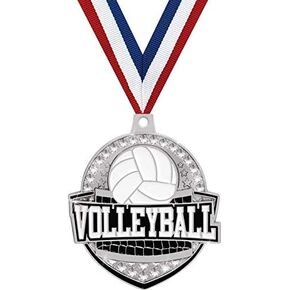 Crown Awards 2 1/4" Royal Volleyball Medals, Silver Volleyball Medals with Free Neck Ribbon Prime in Kuwait