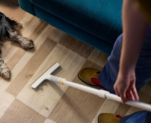 Joseph Joseph CleanTech 3pc Pet Hair Cleaning Tool Set, Manual Rake for Carpet, Upholstery & Furniture with Extension Pole in Kuwait