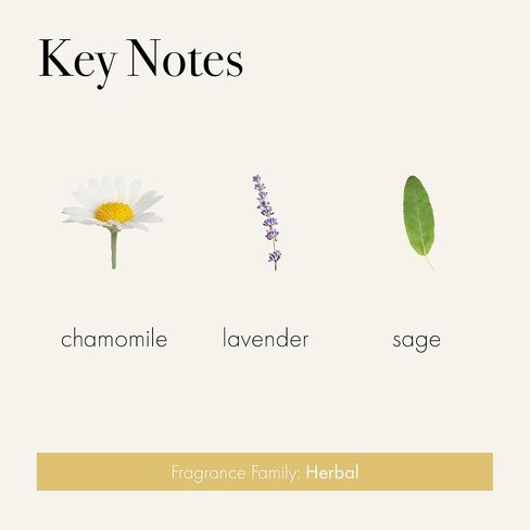 LAFCO New York Laundry Fragrance Oil Refill, Chamomile Lavender - 0.5 fl oz - Designed for LAFCO 100% New Zealand Wool Dryer Balls - Long-Lasting, Essential Oil-Based Scent in Saudi Arabia