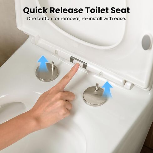 مرحاض Casta Diva قطعة واحدة ممدود مع مقعد كرسي مريح بارتفاع 17.5 بوصة ADA، مراحيض حديثة مدمجة للحمام، تدفق مزدوج عالي الكفاءة 1.0/1.28 GPF & MAP 1000 جرام، 12 بوصة خشنة، أبيض in Kuwait