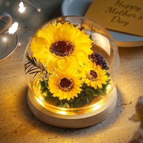 Gifts for Women Birthday Preserved Rose Forever Flower in Glass Dome with LED Fresh Flowers for Delivery Christmas Thanksgiving Valentines Anniversary,Religious Gifts (Purple) in Saudi Arabia