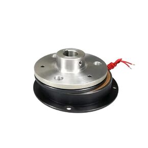 DZD5-40A 40NM 25W 24VDC Monolithic Power On Electromagnetic Brake Motor Brake(DZD5-40A shaft30mm) in Saudi Arabia