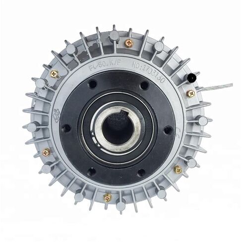 5KG/50N.m Hollow Shaft Magnetic Powder Clutch Brakes FL50.K/F for Slitting Machine in Saudi Arabia