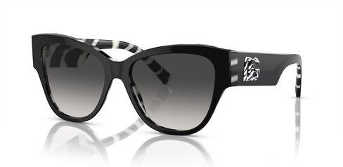 Dolce & Gabbana Sunglasses DG 4449 502/73 Havana Dark Brown in Kuwait