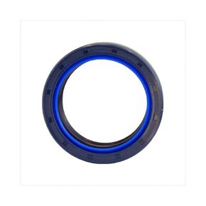 Oil Seal 45X60X16mm in Kuwait