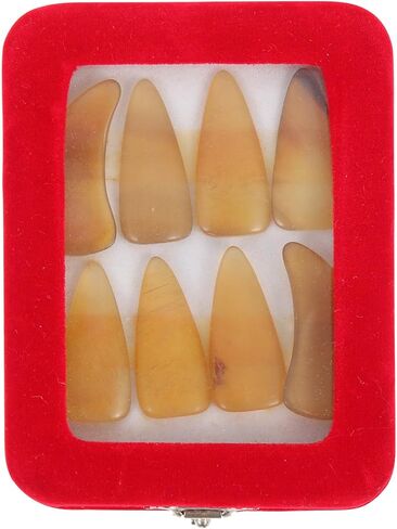 Ipetboom Thickened Large Guzheng Finger Nails Made of Natural Horn, Guzheng Practice Picks Set with Random Colors for String Instrument Playing Protection in Kuwait