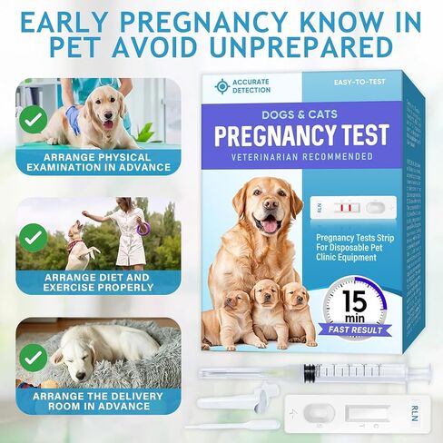 مجموعة اختبار حمل الكلاب، استخدام منزلي بسيط، شرائط اختبار يمكن التخلص منها للكلاب والقطط، غير ضارة للحيوانات الأليفة، شرائط حمل الحيوانات الأليفة سريعة ودقيقة، النتائج في دقائق in Kuwait