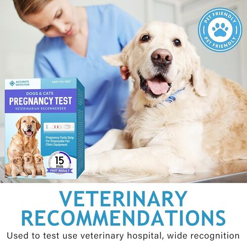 مجموعة اختبار حمل الكلاب، استخدام منزلي بسيط، شرائط اختبار يمكن التخلص منها للكلاب والقطط، غير ضارة للحيوانات الأليفة، شرائط حمل الحيوانات الأليفة سريعة ودقيقة، النتائج في دقائق in Kuwait