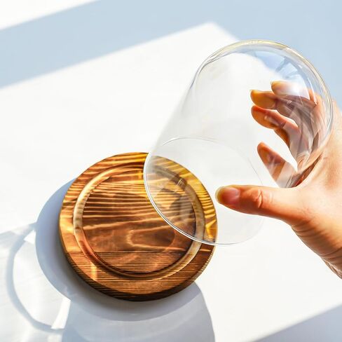 زجاج عرض قبة قاء زجاجي مع قاعدة خشبية عرض قبة زجاجية مزخرفة شفافة للنباتات والإرث والهدايا (5.19 * 3.9 بوصة) in Kuwait