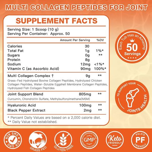 ZEBORA Multi-Collagen-Peptides-Powder for Joint Recovery with MSM & CS - 50 Servings of Hydrolyzed Collagen for Women Men - Type I II III V X Collagen for Skin Hair Nail & Joint Support, Keto Friendly in Saudi Arabia