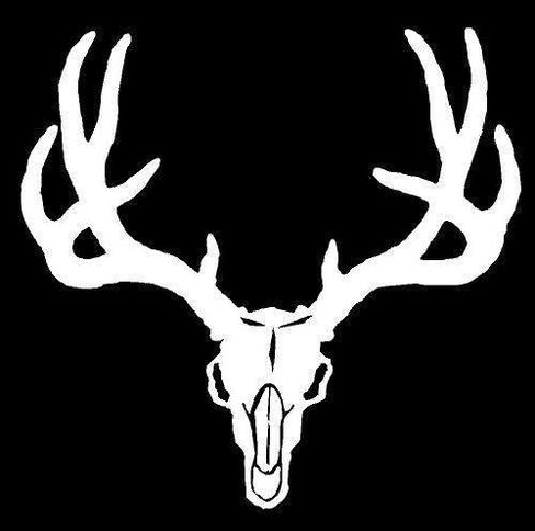 أبيض - ملصق ممتص للصدمات من الفينيل مقاس 5.5 × 5.5 Mule Deer Skull Deer، النوافذ، السيارات، الشاحنات، أجهزة الكمبيوتر المحمولة، إلخ in Saudi Arabia