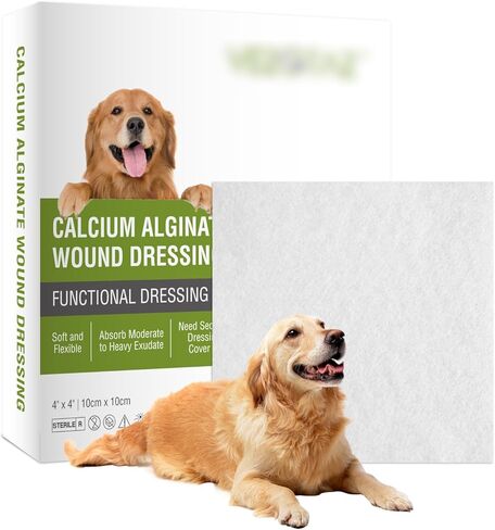 Calcium Alginate Wound Dressing Pads, 4'' x 4'' Patches [10 Individual Pack], High Absorbency Dressing, Soft Wound Care Products for Bedsore in Saudi Arabia