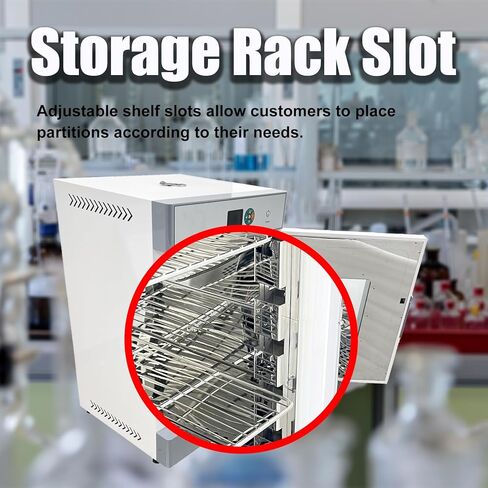 210L Lab Digital Forced Air Convection Drying Oven RT+10-300℃ Large-capacity Heating Oven Adjustable Fan Speed 220V 28.9×25.78×47 inches 3KW in Kuwait