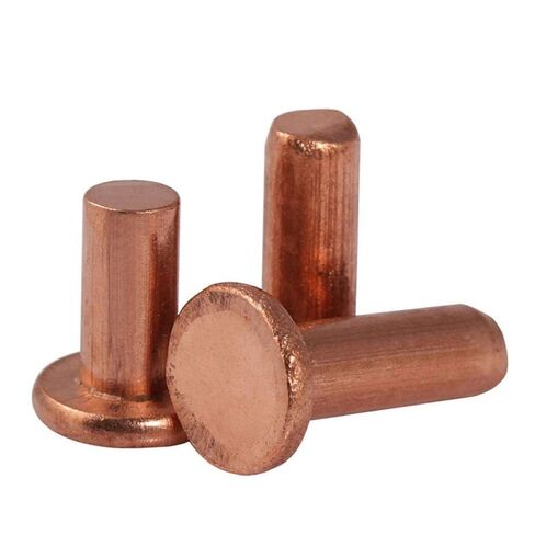 Rivets, rivets for metal，Bronze copper rivet, flat threaded copper rivet, solid rivet, flat cap copper nail, M1.5 m2 m2.5 m3 m4m5m6m8(M2*8 100pcs) in Saudi Arabia