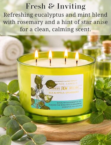T&H Eucalyptus Spearmint Scented Candle | 20 oz Extra Large 4 Wick Soy Candle | Soothing Aromatherapy Candle for Home | Fresh Spa Scent | Clean Burn | Relaxation & Yoga Gift for Women & Men in Kuwait
