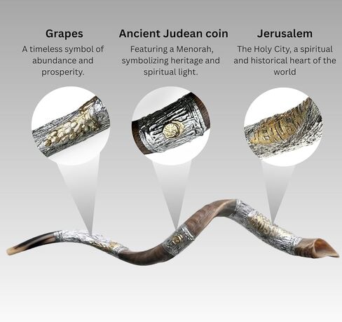 كوشير كودو شوفار من إسرائيل، 925 من الفضة الإسترلينية مع طلاء ذهبي، كودو شوفار اليمني المعتمد الموقع رسميًا، صنع في إسرائيل (20 بوصة - 24 بوصة، القدس) in Kuwait