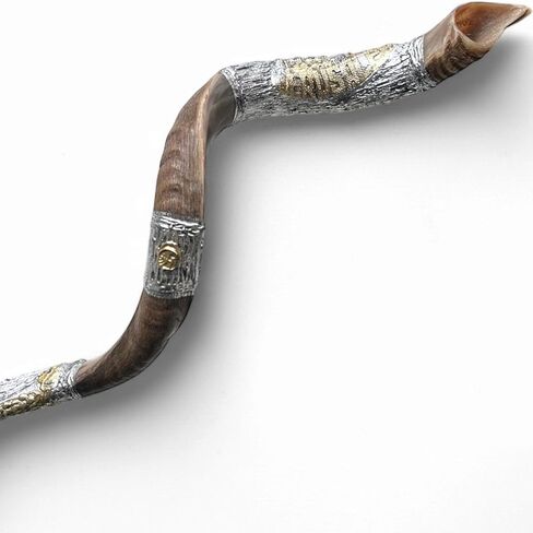 كوشير كودو شوفار من إسرائيل، 925 من الفضة الإسترلينية مع طلاء ذهبي، كودو شوفار اليمني المعتمد الموقع رسميًا، صنع في إسرائيل (20 بوصة - 24 بوصة، القدس) in Kuwait