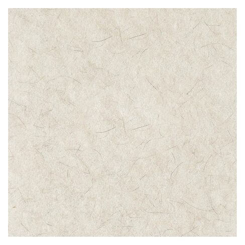 Boardwalk Natural Burnishing Floor Pads, 24" Diameter, White, 5/Carton in Saudi Arabia