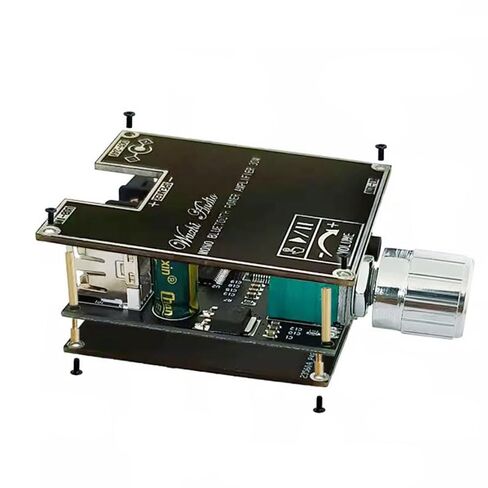 2PCS ZK-301B 5.3 Amplifier 30W Mono Channel with TWS DC 9-24V in Saudi Arabia