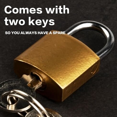 12 حزمة من أقفال النحاس العتيقة على شكل حرف D مقاس 20 مم - أقفال مزخرفة وآمنة مع قلب من السبائك الصلبة للأمتعة وخزائن الصالة الرياضية وصناديق الهدايا والتخزين والسفر. صغير الحجم لحقائب الظهر/الحالات الأمنية in Kuwait