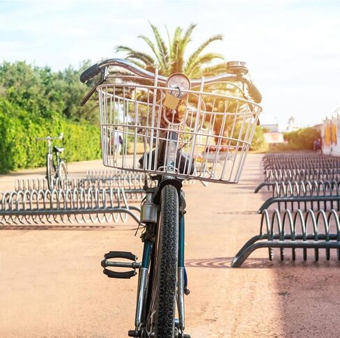 12 حزمة من أقفال النحاس العتيقة على شكل حرف D مقاس 20 مم - أقفال مزخرفة وآمنة مع قلب من السبائك الصلبة للأمتعة وخزائن الصالة الرياضية وصناديق الهدايا والتخزين والسفر. صغير الحجم لحقائب الظهر/الحالات الأمنية in Kuwait