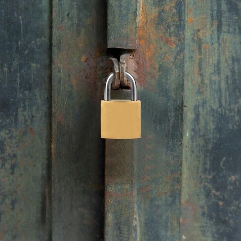 12 حزمة من أقفال النحاس العتيقة على شكل حرف D مقاس 20 مم - أقفال مزخرفة وآمنة مع قلب من السبائك الصلبة للأمتعة وخزائن الصالة الرياضية وصناديق الهدايا والتخزين والسفر. صغير الحجم لحقائب الظهر/الحالات الأمنية in Kuwait