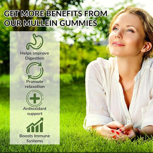 عبوتين من مضغ مولين 3000 ملغ للرئة - مستخلص أوراق مولين للتخلص من سموم الرئتين للمدخنين - كيرسيتين مع بروميلين لدعم الجهاز التنفسي والمناعي والهضمي، 120 قطعة عنبية in Kuwait