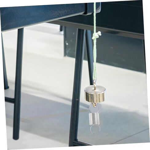 Stainless Steel Tension Springs Rings Ends 2pcs Small Extension Spring for Scientific Force Measurement and Educational Experiments in Saudi Arabia