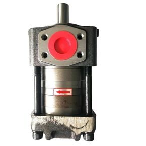 Hydraulic Gear Pump NT2-G16F High Pressure Internal Oil 32bar in Kuwait
