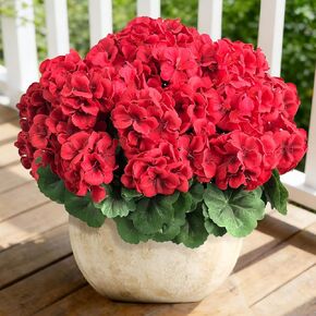 20 Bundles Artificial Flowers for Outdoors Decorations, Fake Silk Colorful Daisy Eucalyptus Realistic UV Resistant, Realistic Plants & Flowers Fake Flowers for Outside Home Planter Porch Patio in Kuwait