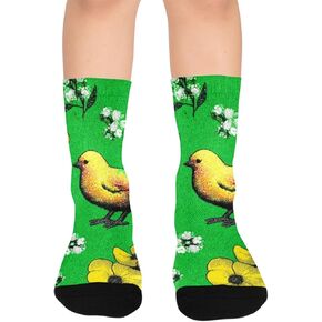 Art Green Rainbow Chick Hiking Socks - Toddler Boys & Girls Warm Thick Thermal Winter Crew Socks for School, Daily Wear & Outdoor Activities in Kuwait
